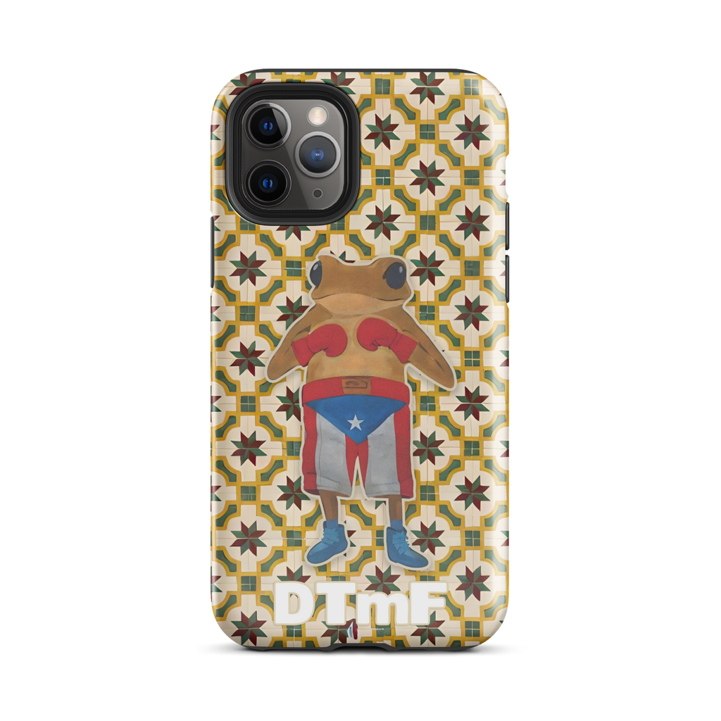 Bad Bunny Concho Boxing Case