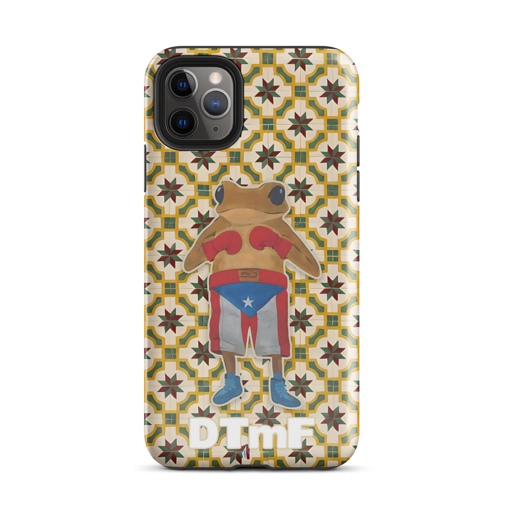 Bad Bunny Concho Boxing Case