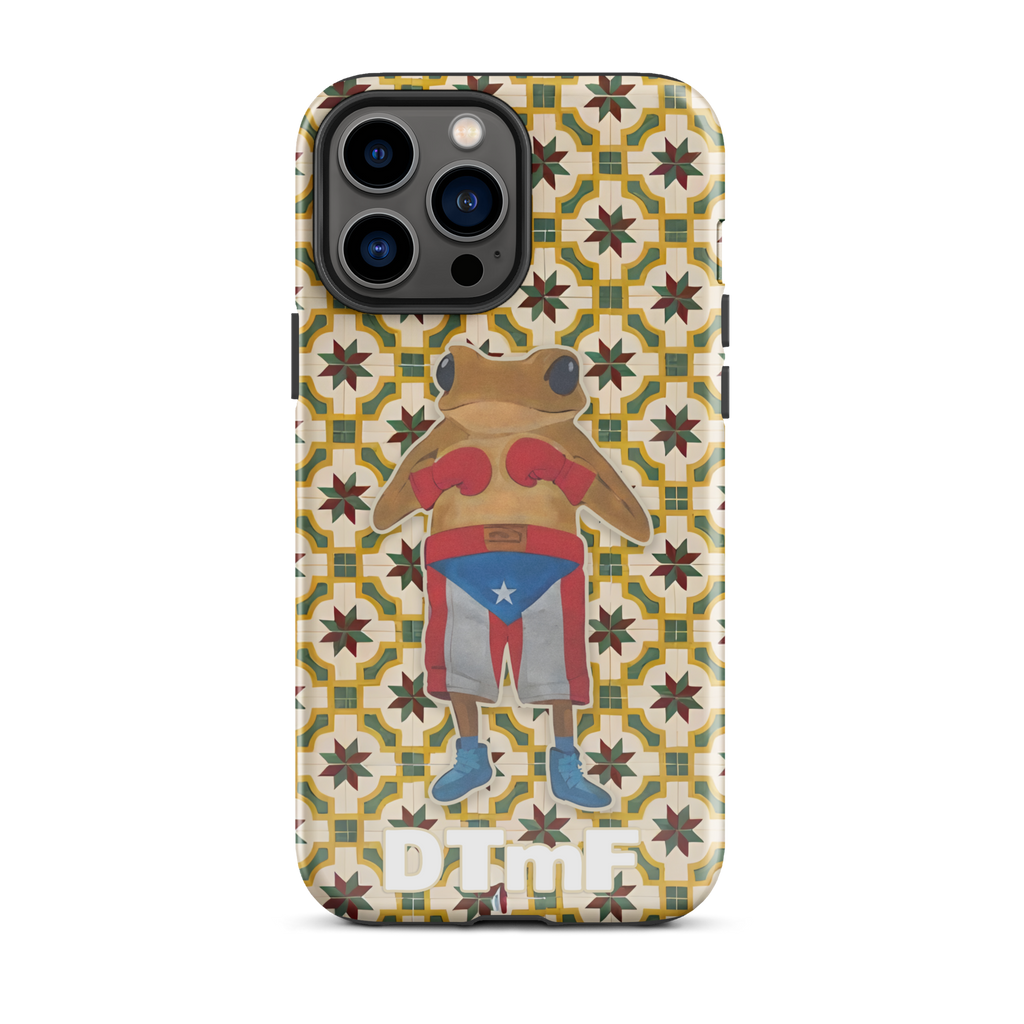 Bad Bunny Concho Boxing Case